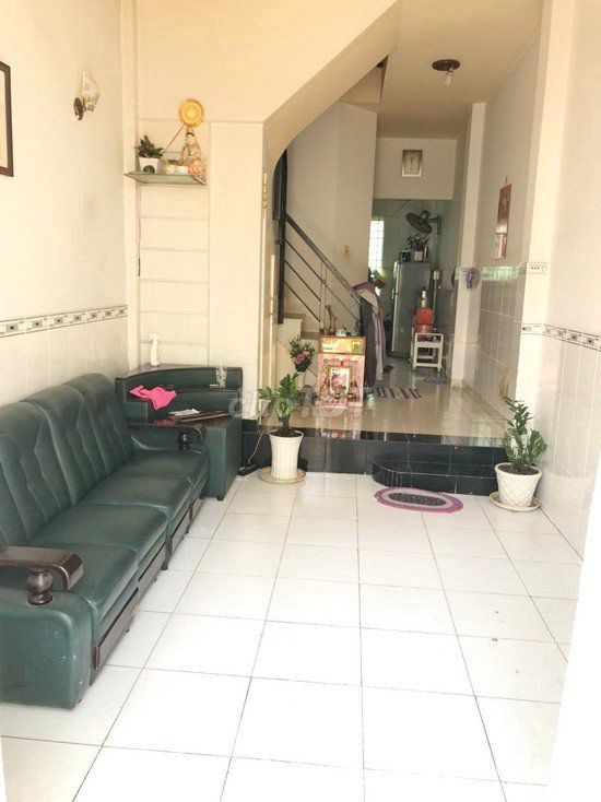 4347905 ảnh đại diện 2