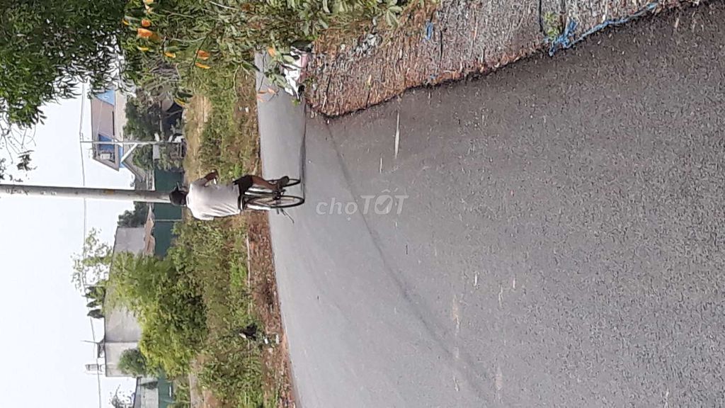 4347743 ảnh đại diện 2