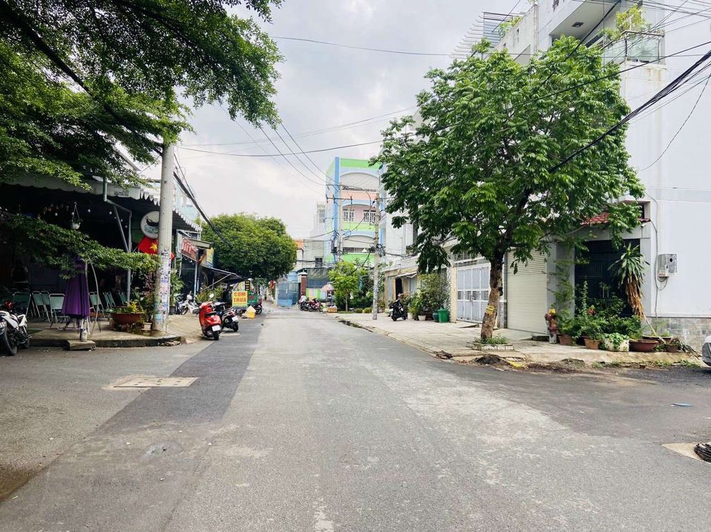 4353222 ảnh đại diện 2