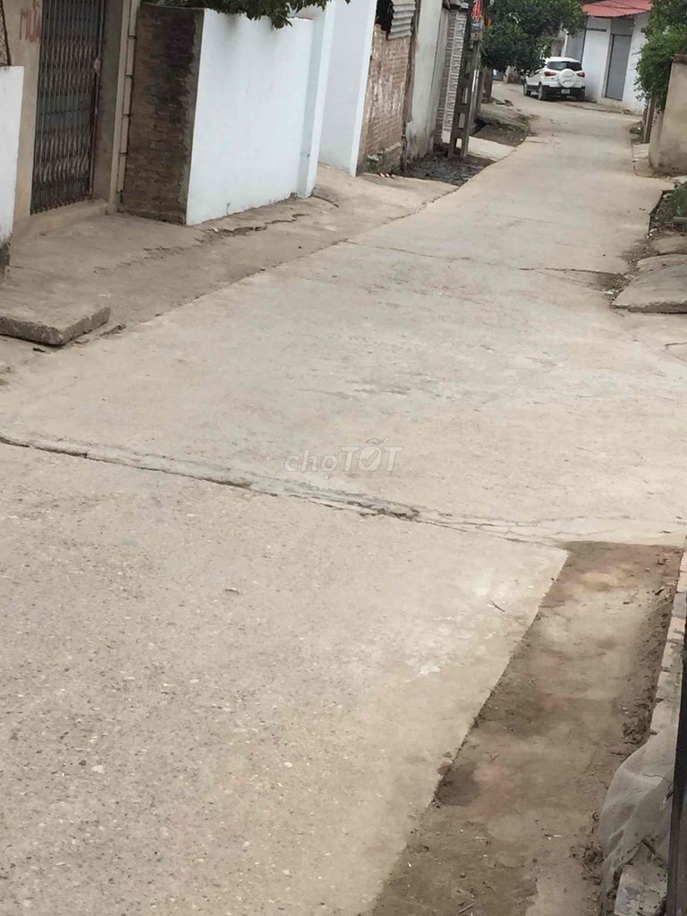 4347769 ảnh đại diện 1