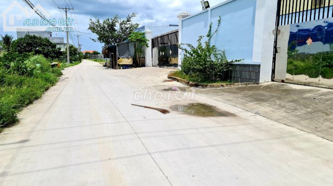 4347788 ảnh đại diện 1