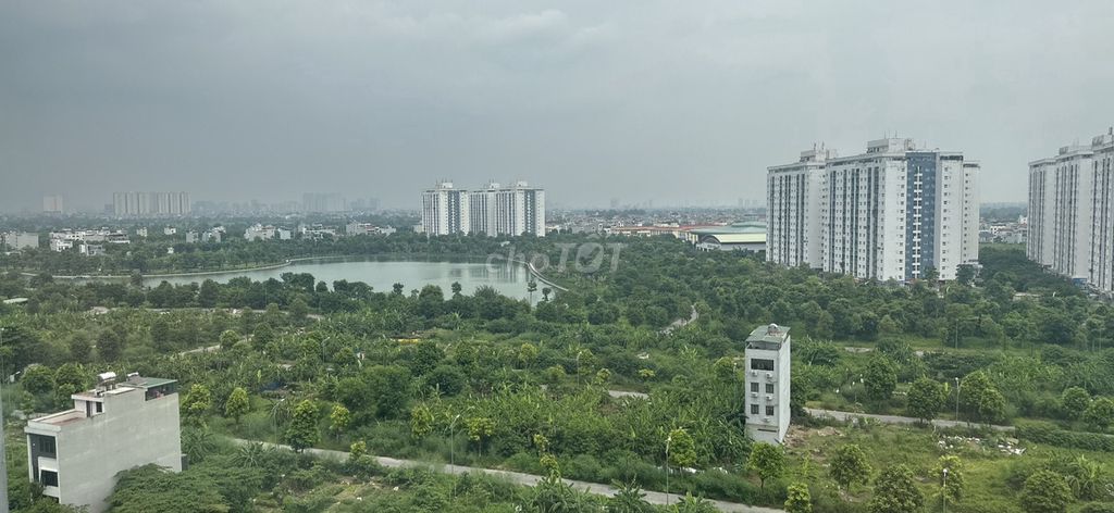 4352122 ảnh đại diện 1