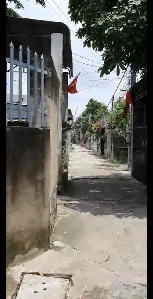 4352531 ảnh đại diện 2