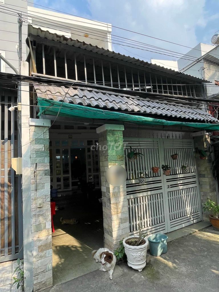 4348619 ảnh đại diện 1