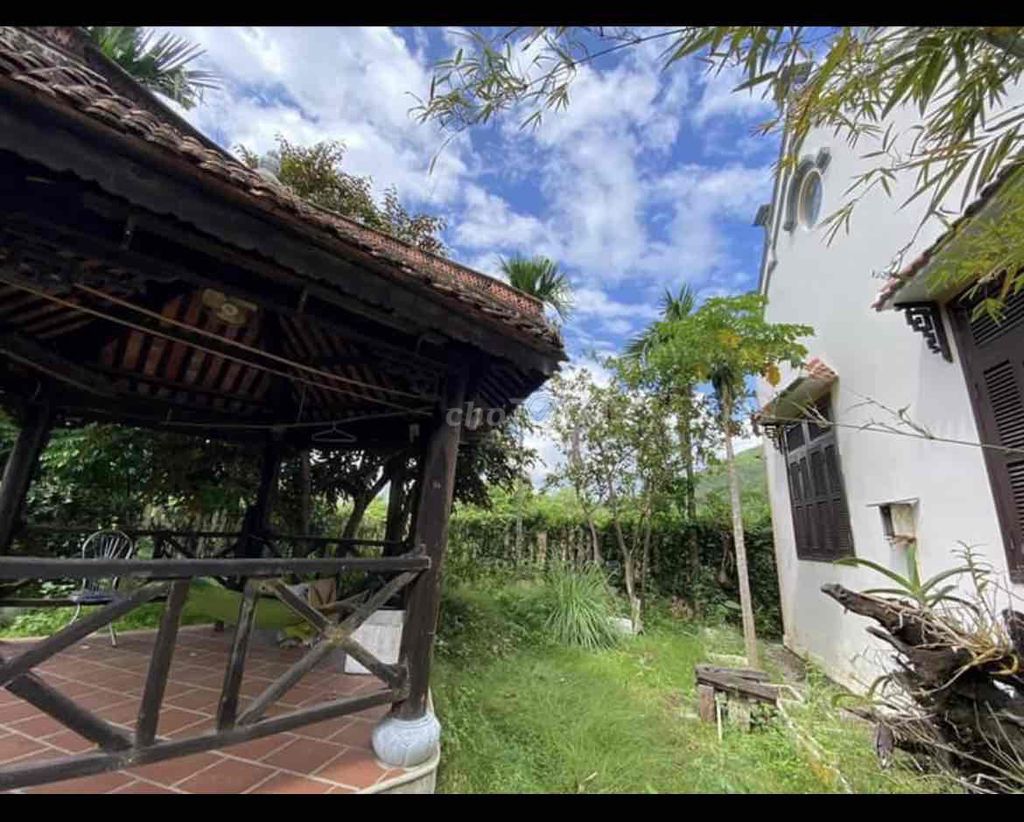 4348510 ảnh đại diện 1