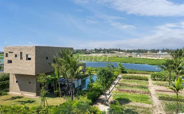 4350004 ảnh đại diện 2