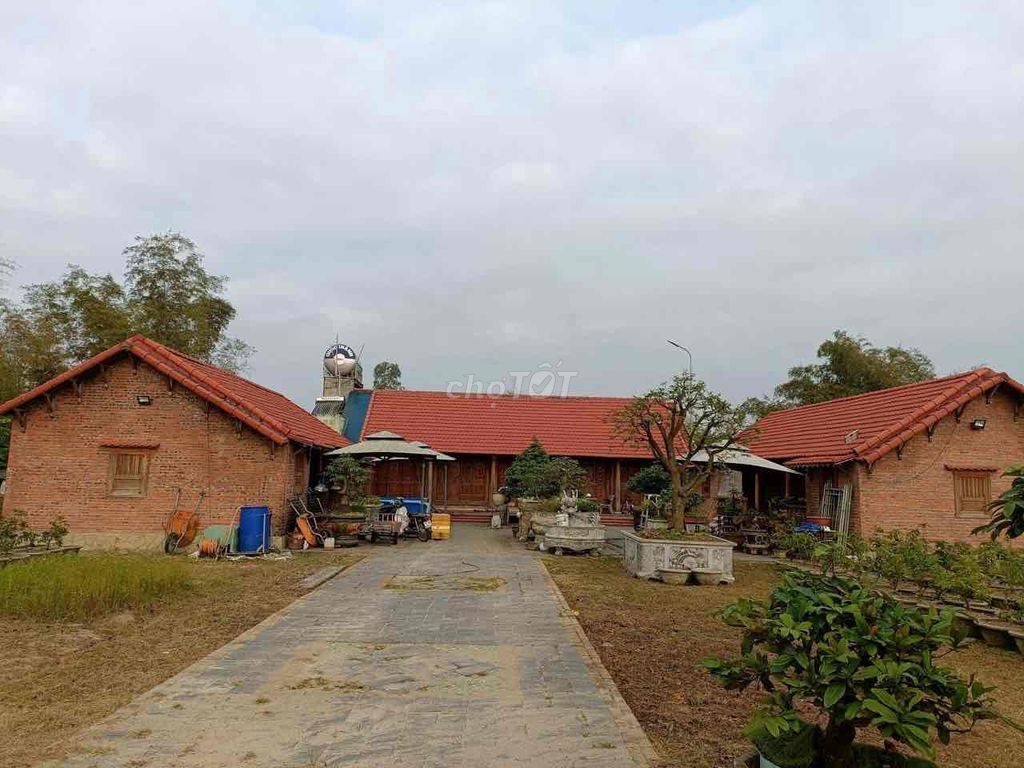 4352888 ảnh đại diện 1