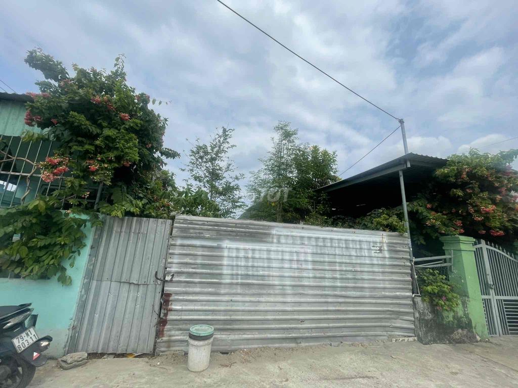 4352143 ảnh đại diện 1