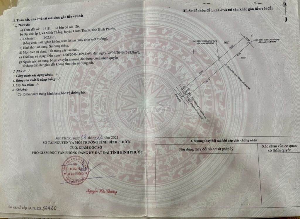 4349365 ảnh đại diện 1