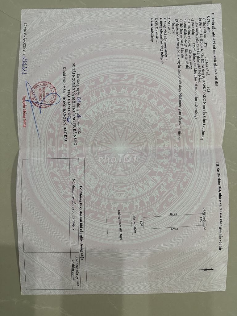 4353129 ảnh đại diện 1