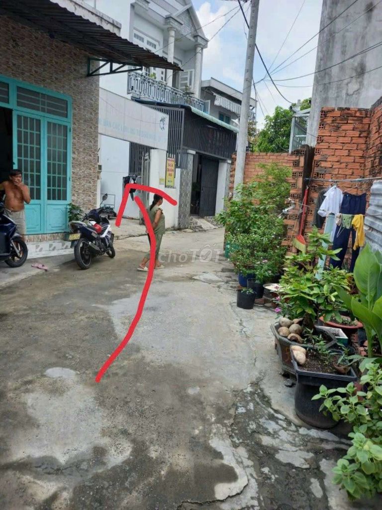 4352131 ảnh đại diện 1