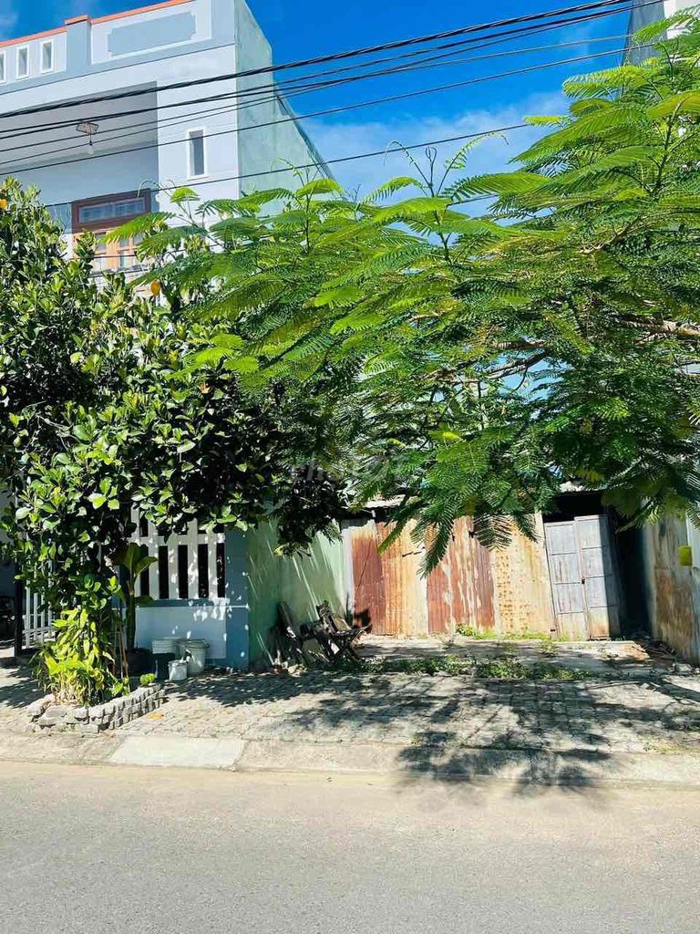 4348463 ảnh đại diện 1