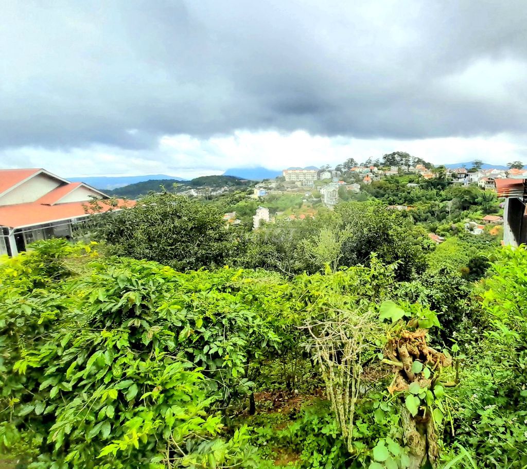 4351470 ảnh đại diện 2
