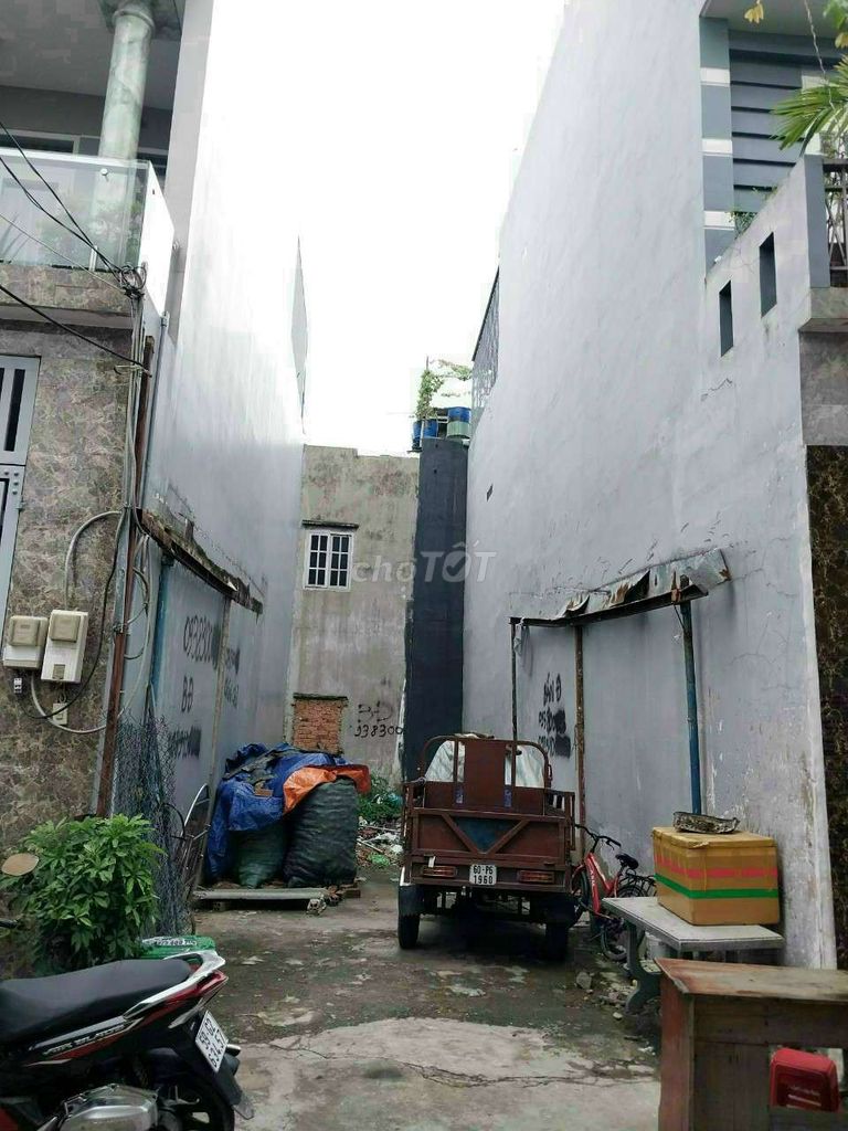 4352590 ảnh đại diện 1