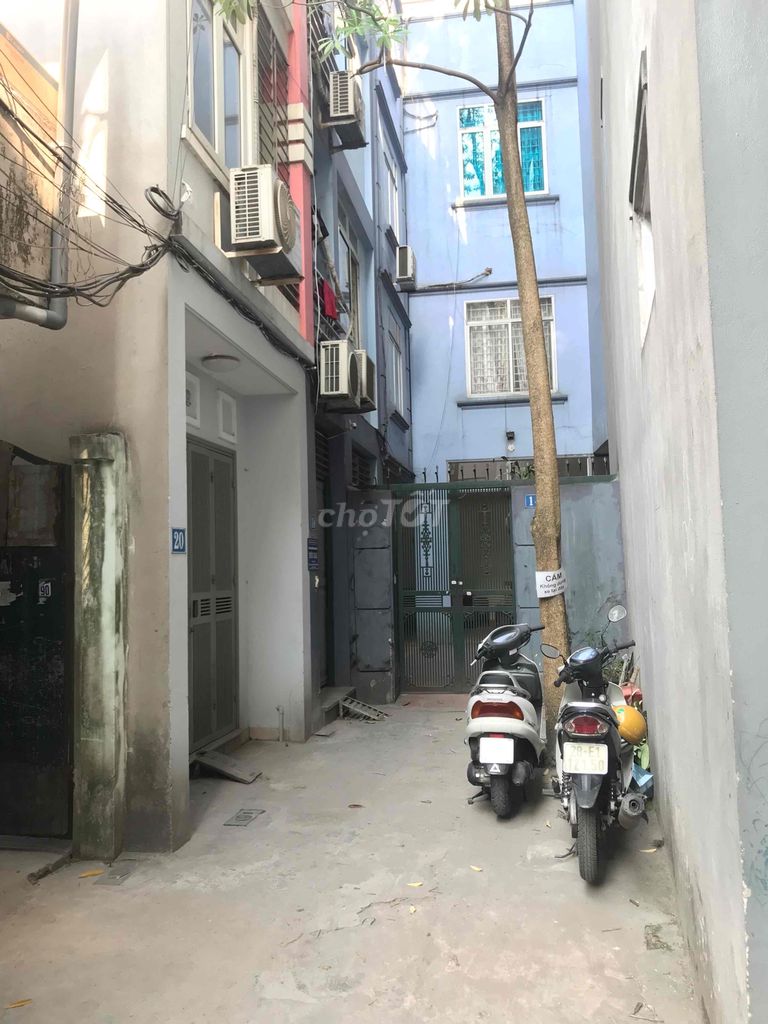 4351557 ảnh đại diện 1