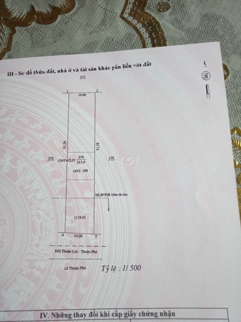 4349429 ảnh đại diện 1