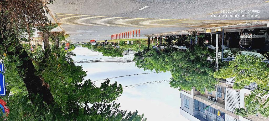 4348464 ảnh đại diện 2