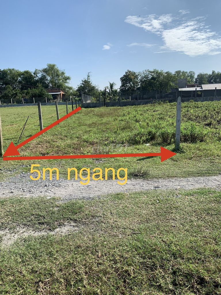 4347777 ảnh đại diện 1