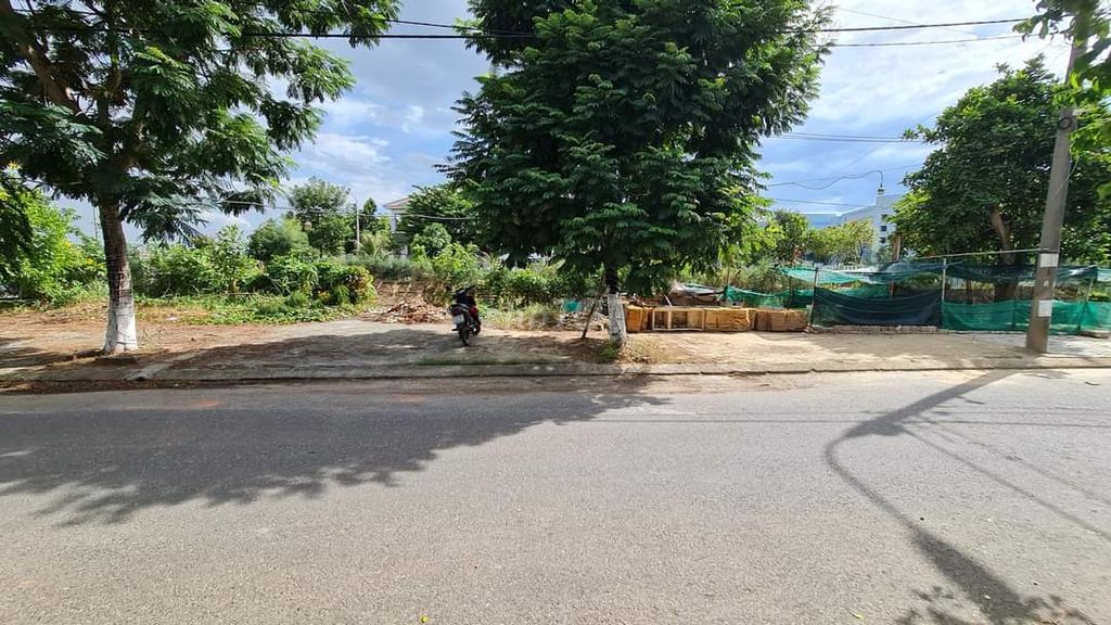 4348991 ảnh đại diện 2