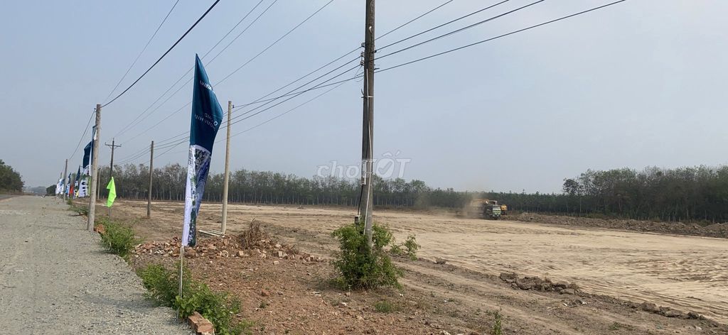 4348824 ảnh đại diện 1