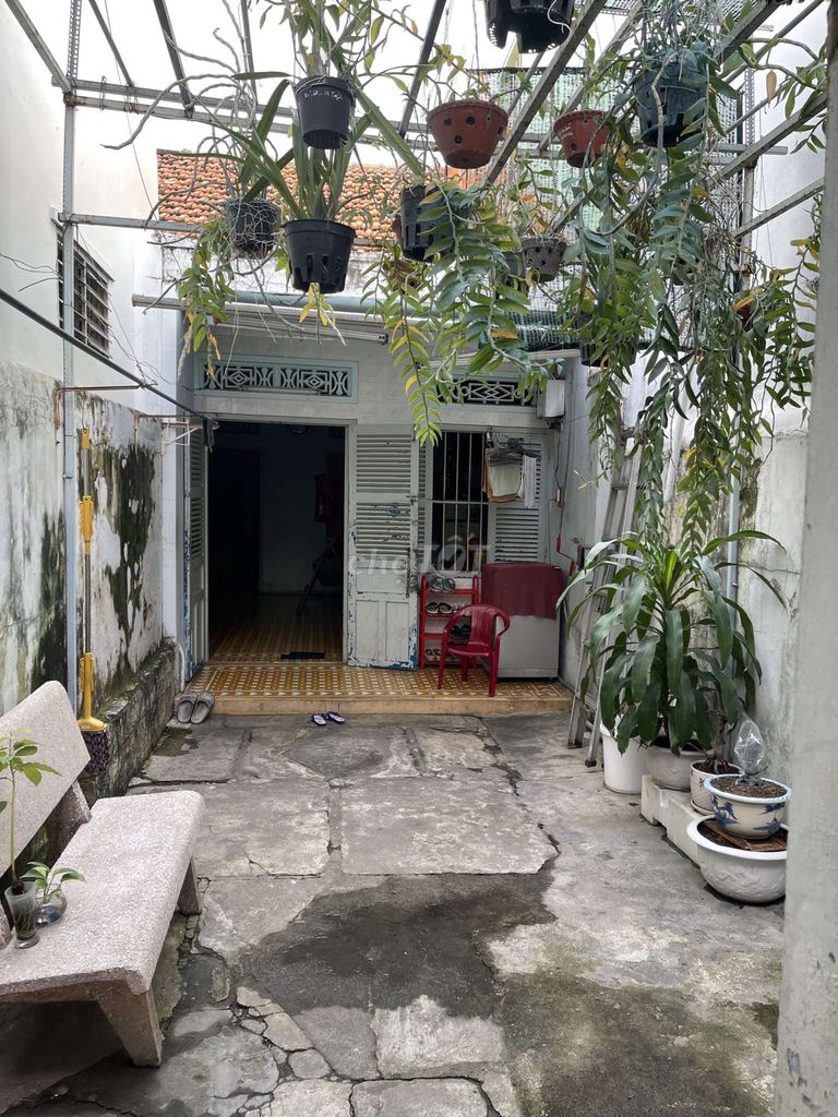 4352005 ảnh đại diện 1