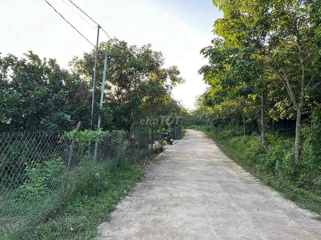 4349671 ảnh đại diện 1