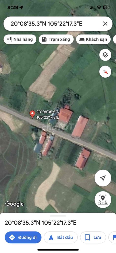 4347753 ảnh đại diện 1
