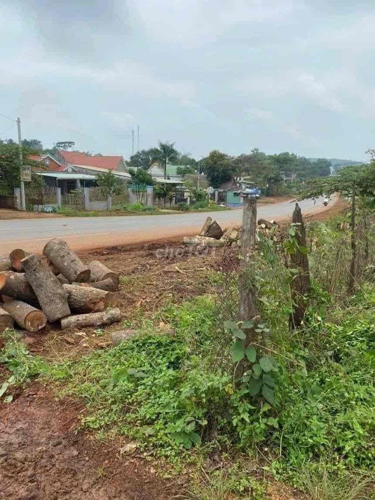 4350785 ảnh đại diện 1