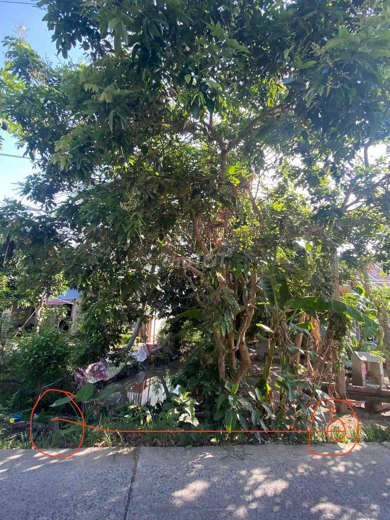 4347791 ảnh đại diện 1