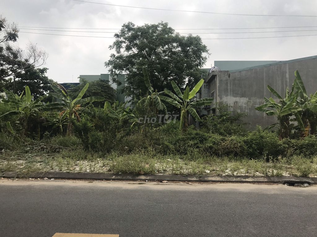 4352380 ảnh đại diện 1