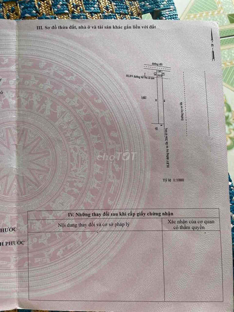 4349626 ảnh đại diện 2