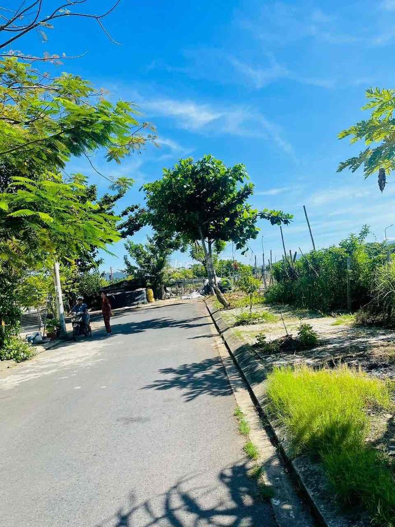 4348463 ảnh đại diện 1