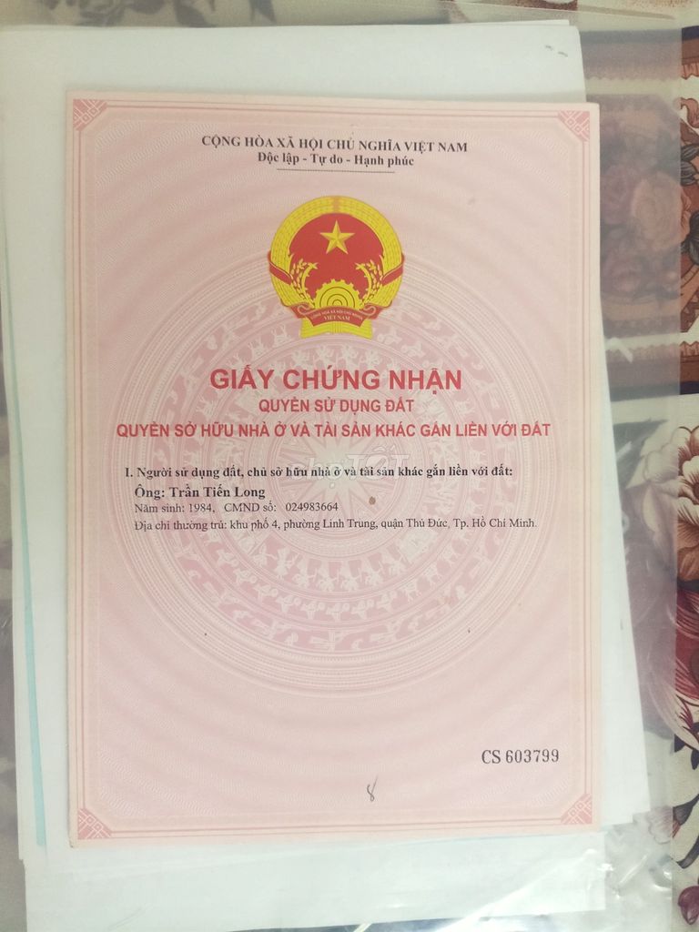 4348823 ảnh đại diện 1