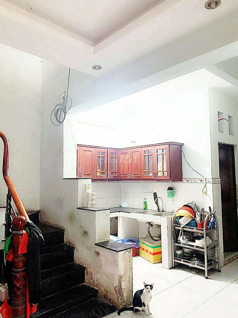 4348618 ảnh đại diện 2
