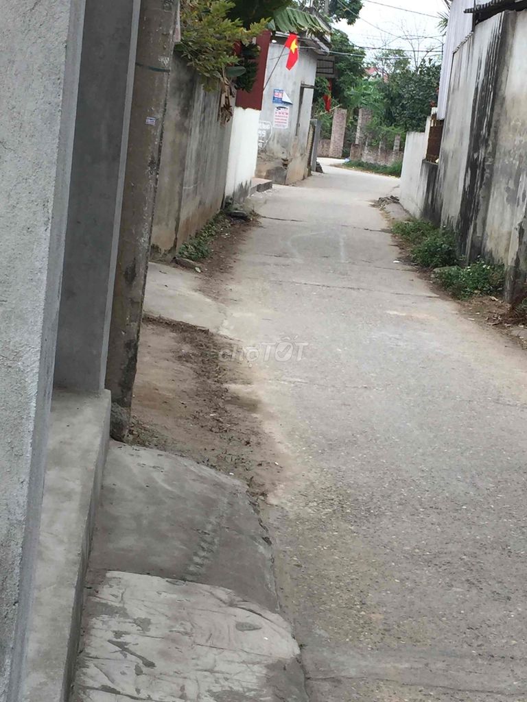 4347769 ảnh đại diện 2