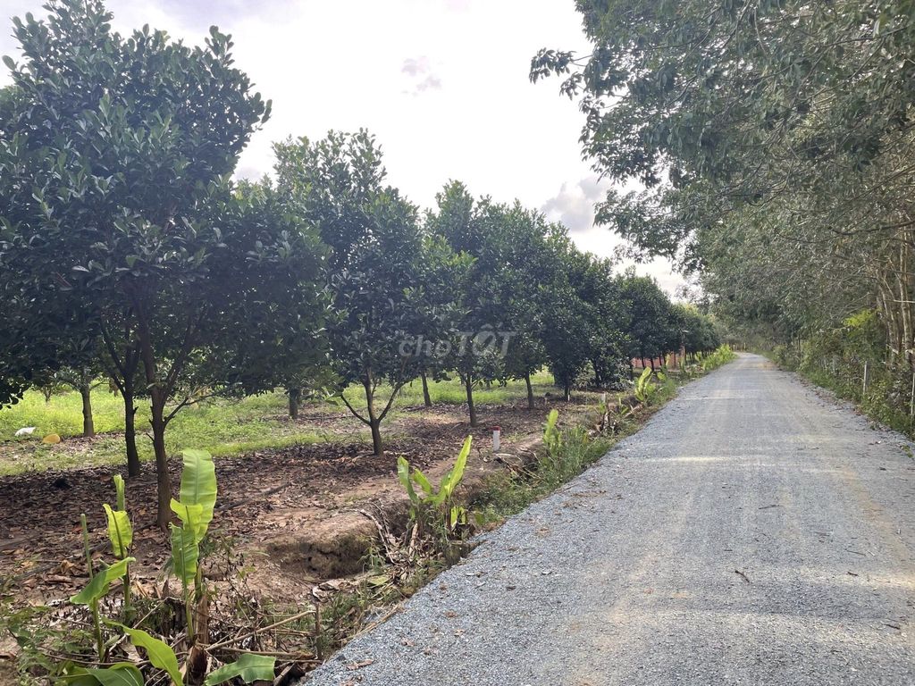 4352940 ảnh đại diện 2