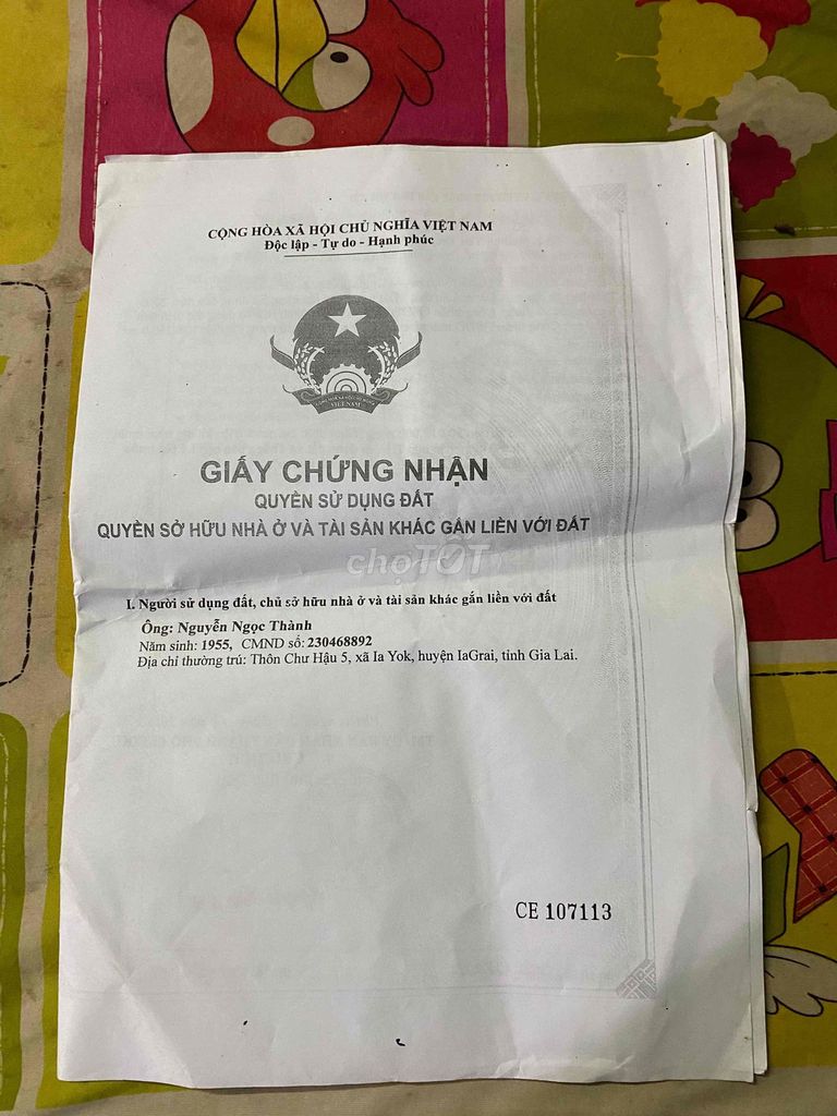 4351870 ảnh đại diện 1