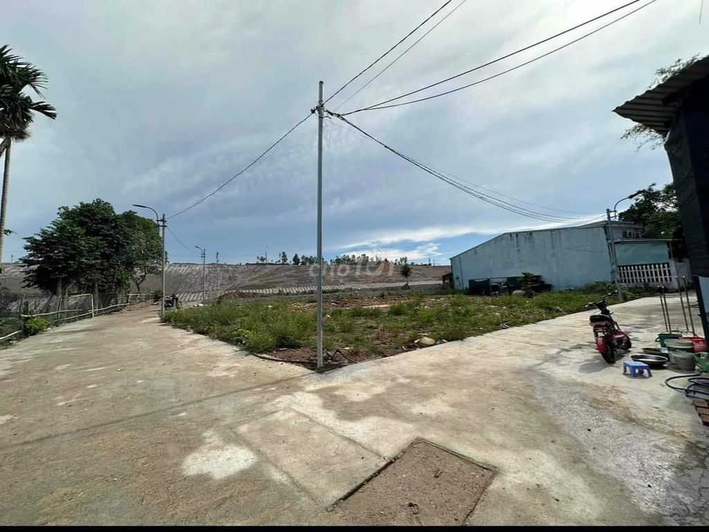 4348899 ảnh đại diện 1