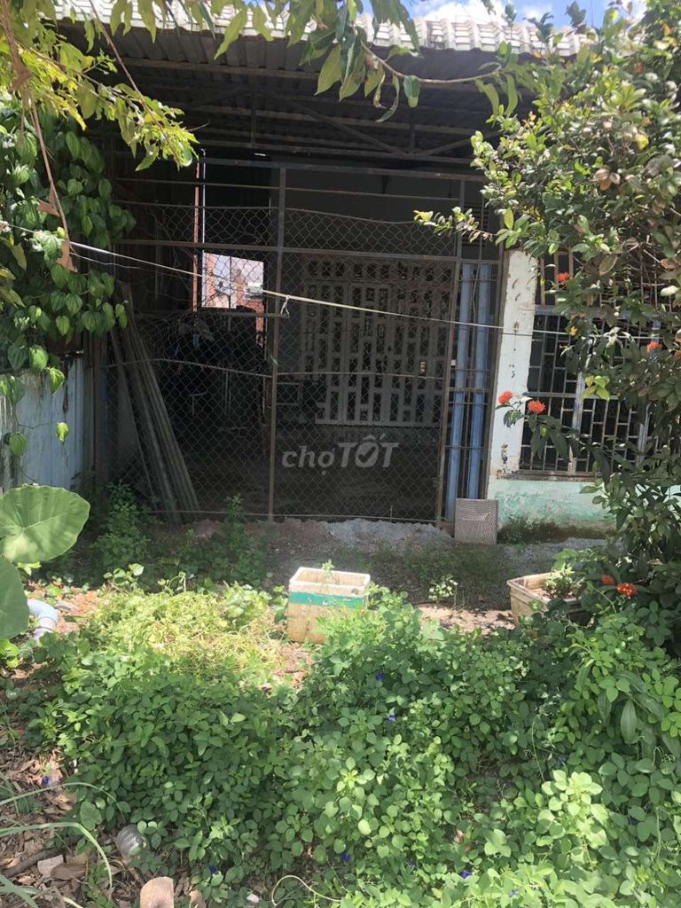 4349886 ảnh đại diện 1