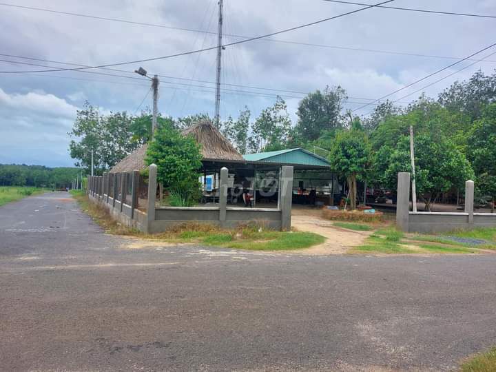 4349624 ảnh đại diện 2