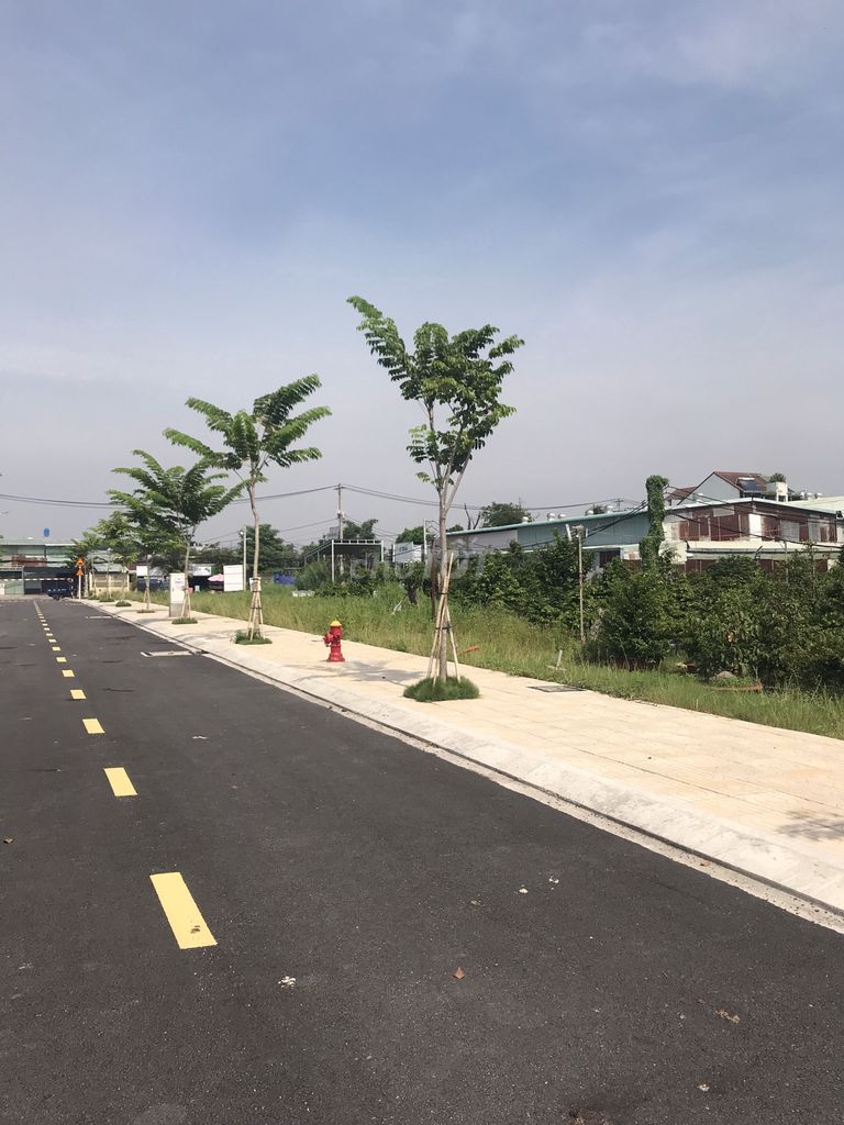 4347902 ảnh đại diện 1