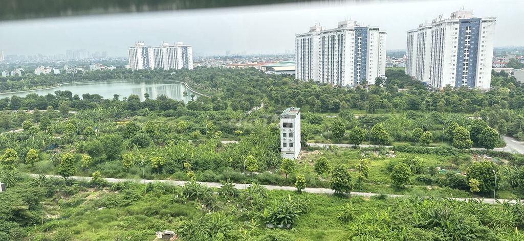 4352122 ảnh đại diện 1