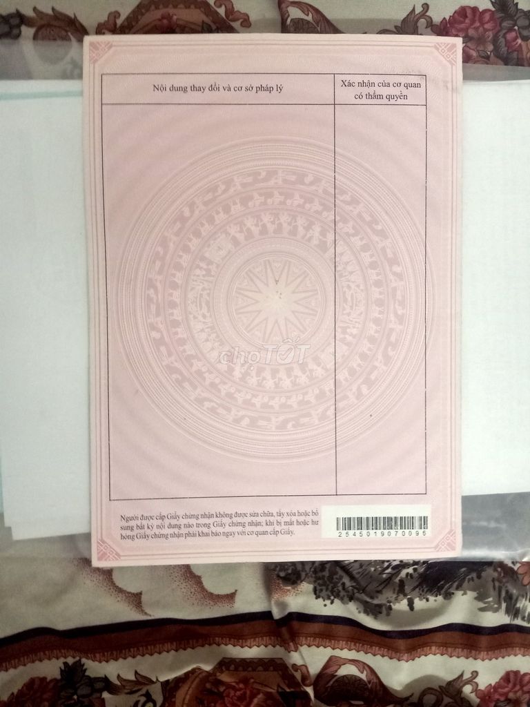 4348823 ảnh đại diện 1