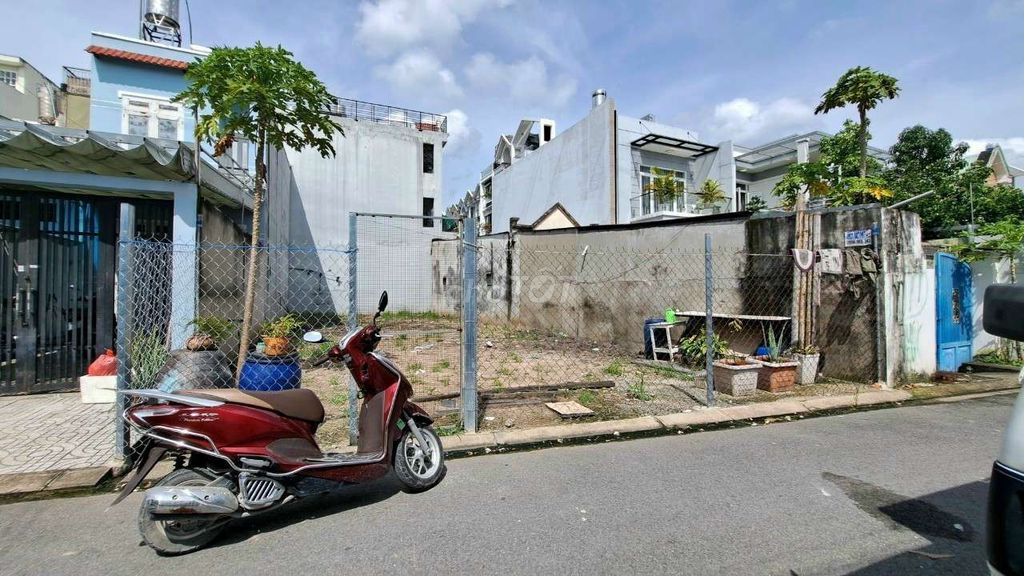 4353215 ảnh đại diện 1