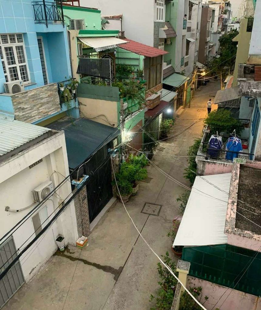 4351386 ảnh đại diện 1
