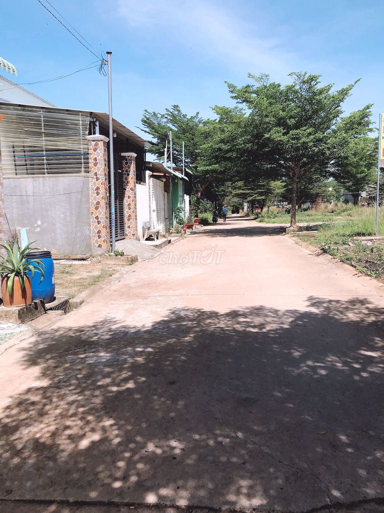 4347901 ảnh đại diện 1