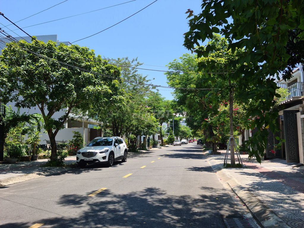 4349419 ảnh đại diện 1
