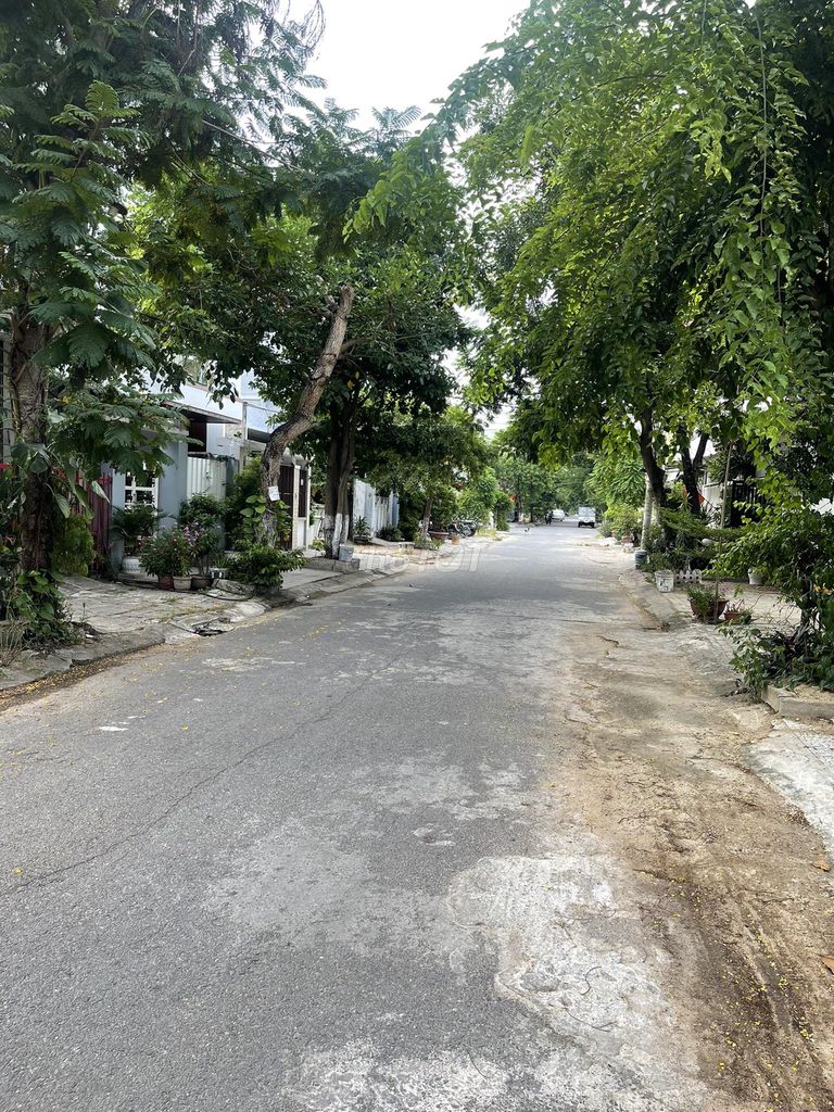 4350178 ảnh đại diện 1