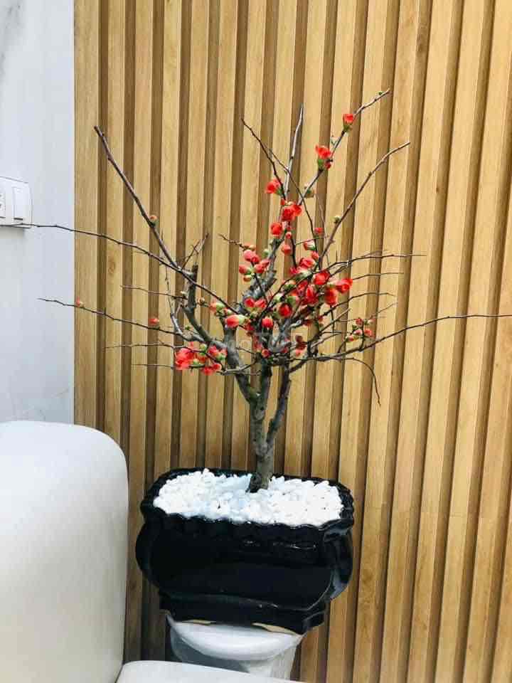 4351589 ảnh đại diện 1