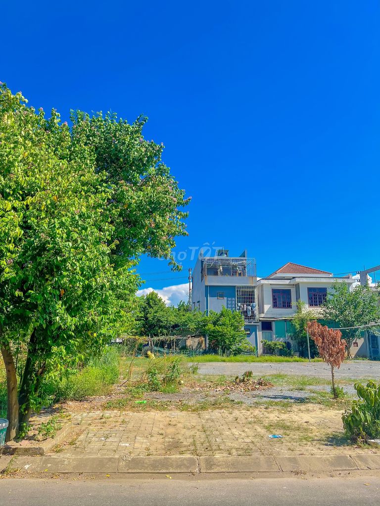 4349316 ảnh đại diện 1
